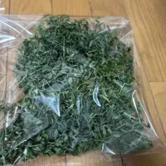 Item thumbnail for item 1c391fbd-7e46-4f68-ba41-99f9720d7dd2