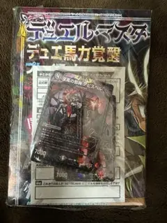 Item thumbnail for item 77c71937-0c02-4531-8c87-487d294fd545