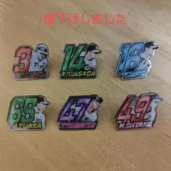 2025年阪神タイガースFC応援デーシークレットピンズ20種類コンプリート 2025年阪神タイガースFC応援デーシークレットピンズ20種類