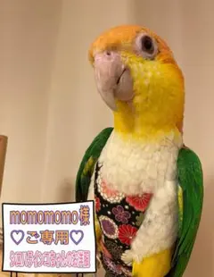 Item thumbnail for item 69b169d5-ea10-4c51-8087-92d2aa60a319