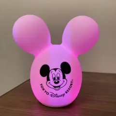 ディズニーリゾート限定 風船型ルームライト