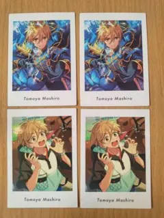 あんスタ ぱしゃっつ 真白友也