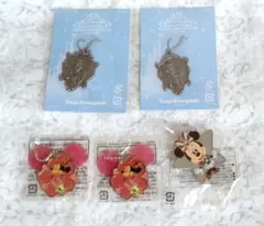 東京ディズニーリゾート　非売品　キーホルダー　ピンバッジセット
