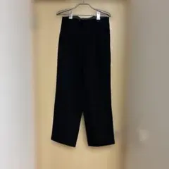 バ*ン様 ISSEY MIYAKE スラックス ダブル ウールレーヨン vintのサムネイル