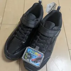 バネのチカラ　23cmEE