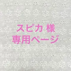[専用]スピカ様　バッグインバッグ他のサムネイル