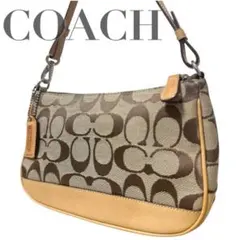 COACH アクセサリーポーチ 8K09 シグネチャー ストライプ チャーム COACH アクセサリーポーチ 8K09 シグネチャー ストライプ チャーム