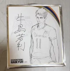 ハイキュー‼︎ 抽選 完結記念サイン色紙セット　未開封 ハイキュー!! 完成記念 サイン入りミニ色紙 シュヴァイデン