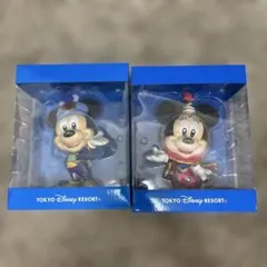 東京ディズニーリゾート ミッキー ミニー フィギュア 2体セット