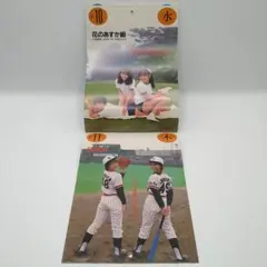 【昭和レトロ★希少】明星 1988年昭和63年9月号 付録 アイドル カレンダー
