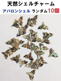 天然シェル　チャーム　アバロンシェル　アクセサリーパーツ　10個　尾　魚　くじら