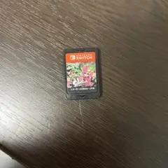 Splatoon 2 Nintendo Switch ゲームカード