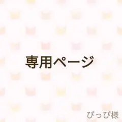 ぴっぴ様専用ページ