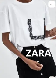 Item thumbnail for item 3e313f05-3c06-4369-a692-84b1c7a3dcbb