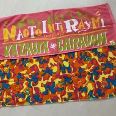 2025年最新】ナオト・インティライミ タオルの人気アイテム - メルカリ