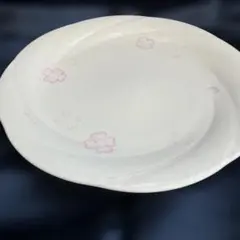 (389右棚4)ナルミ桜模様のホワイト陶器皿