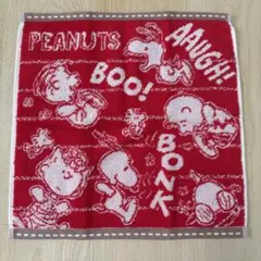未使用★peanuts★snoopy★スヌーピー★ウォッシュタオル
