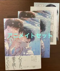 青藍の夜にくちづけて　アニメイト小冊子　ペーパー　カード付　犬野まげゆいし先生