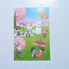 銀魂 ベースヤードトーキョー 特典ポストカード 集合絵