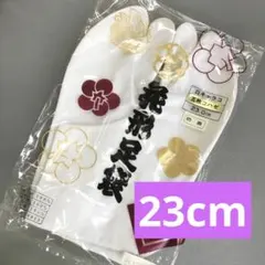 Item thumbnail for item 47a2c135-0511-4f0e-a23d-be2c7c5d3099