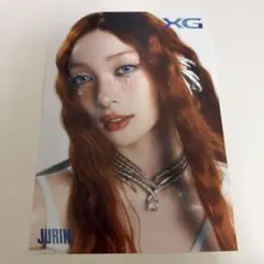 XG フライヤー JURIN ジュリン