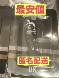 ❤︎最安値❤︎ seventeen home 2025 アクキー　DK ドギョム