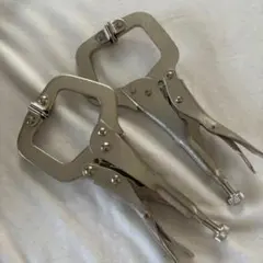 Item thumbnail for item 731ade8f-d07f-4027-ad0b-48d09c56020a