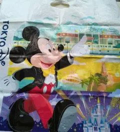 ディズニー ショッピングバッグ　2枚