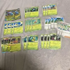 メガフシギバナex 進化ライン　メガニウム　デッキパーツ　活力の森　計37枚