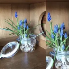 りりーまま様 リクエスト 2点 まとめ商品