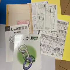 2022年6年国語 カラーテスト 光村図書 Nぶんけい（欠品おそらく5枚