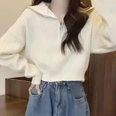 [新品] ニット ハーフジッパー グロップド トップス オフホワイト FREE