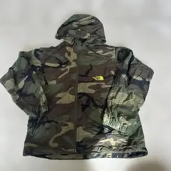 Item thumbnail for item 70e25e66-f096-476f-9eae-f071abdaed0b