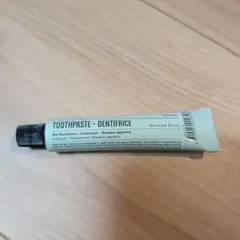 Aesop Toothpaste 10mL