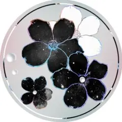 QYマステ2月新作Fancy Perfume 6cm×5M 貝殻光 QYマステ2月新作Fancy Perfume 6cm×5M 貝殻光 - メルカリ