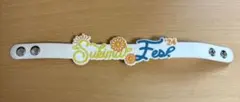 スキマスイッチ　Sukima Fes ラバーバンドのサムネイル
