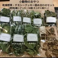 Item thumbnail for item 2ebbc953-bead-4909-82e5-7307f7fd6ba0