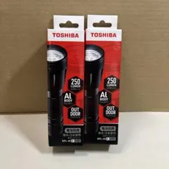 6A356 TOSHIBA LED懐中電灯 KFL-43(K) 2個のサムネイル