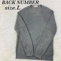 BACK NUMBER　バックナンバー　グレー　サイズL　ニット　長袖　着やすい