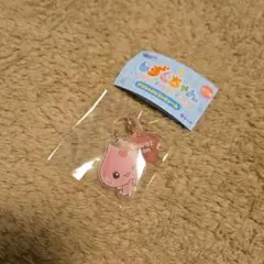 しずくちゃん アクリルキーめじるしチャーム　うるおいちゃん