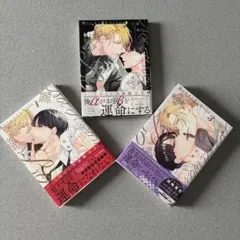 BLコミック　屋敷シマ　3冊まとめ売り　【35】