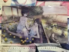 c106 ぽんかん⑧ vividcolor サイン入りアクリルボード C106 vividcolor ぽんかん⑧ サイン入りアクリルボードA Amazon