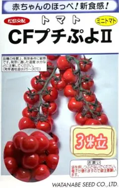 AYA☆断捨離様 リクエスト 3点 まとめ商品