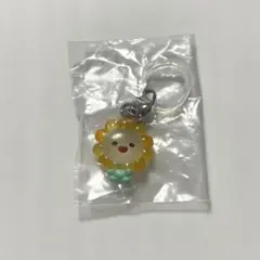 JOCHUM ジェオチャム めじるしアクセサリー ビラ