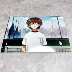 テニスの王子様 テニプリ 非売品 ブロマイド スナップ写真 不二周助 幼少期