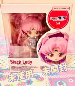 Figuarts mini 169 ブラックレディ