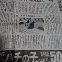 Item thumbnail for item 91361f3d-4a54-4dbb-a9b2-53c1aa95a03d