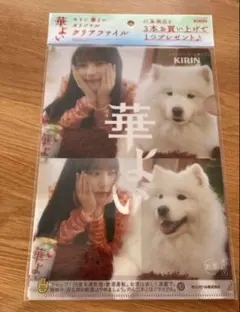 クリアファイル アイドル