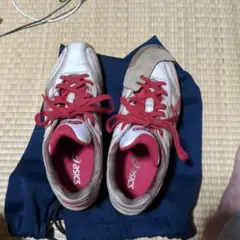 Item thumbnail for item 1542c257-68c9-43d1-b6da-f5c6ae430ae6