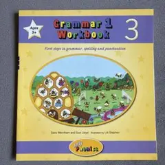 Grammar 1 Workbook 3